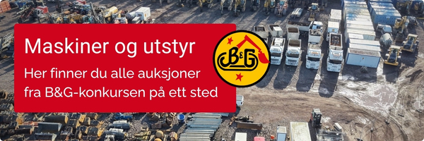Kampanjebanner på Auksjonen.no